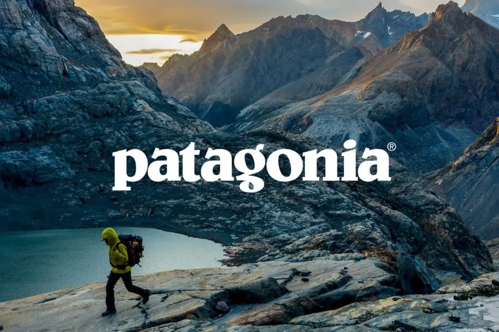 patagonia case study. 